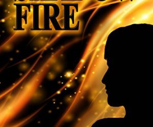 Shadow Fire  #YA  #Fantasy