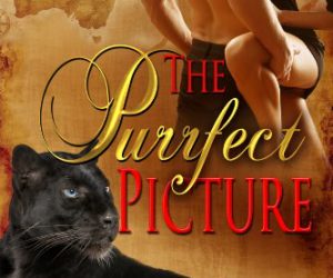 The Purrfect Picture #ParanormalRomance