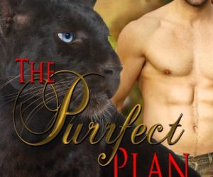 The Purrfect Plan #ParanormalRomance