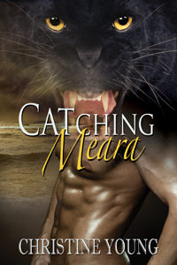 Catching Meara, Paranormal, Romance, Shifters, Demons