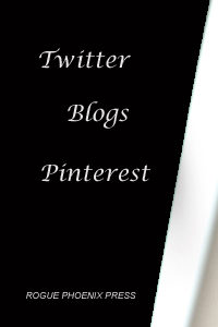 #twitter #blogs #pinteres