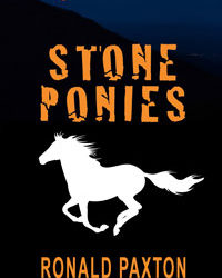 Stone Ponies  #Mystery/Crime